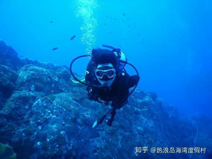 植物传播种子的方法有哪些?蜗牛问答,解决你的疑惑!